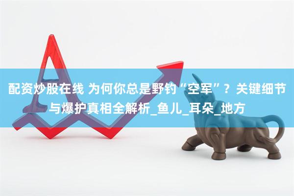 配资炒股在线 为何你总是野钓“空军”？关键细节与爆护真相全解析_鱼儿_耳朵_地方