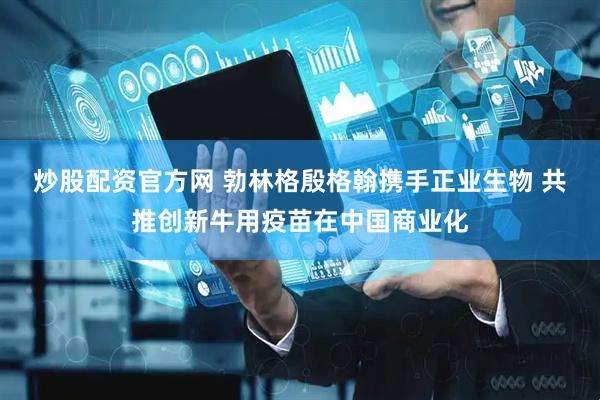 炒股配资官方网 勃林格殷格翰携手正业生物 共推创新牛用疫苗在中国商业化